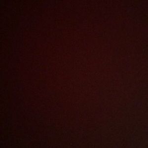 Meet your Posher, Ava